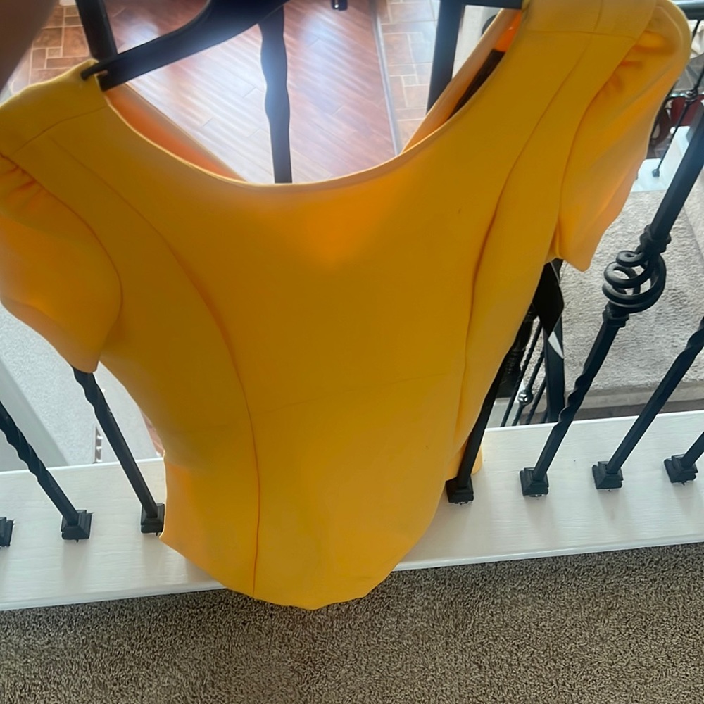 Zara Dress!